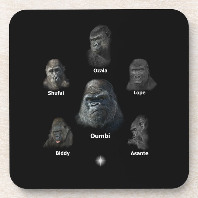 Gorilla Family Coaster (Front)