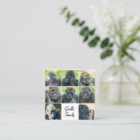 Gorilla Family
