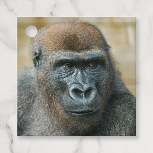 Gorilla Favour Tags (Front)