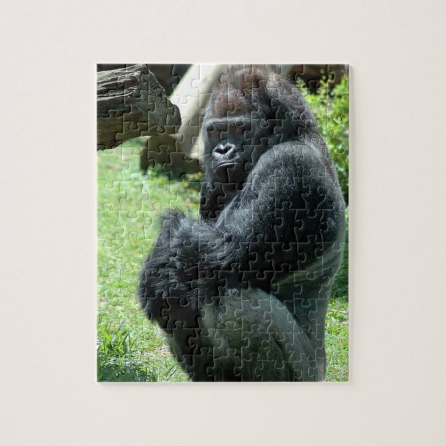 Gorilla Glare Puzzle (Vertical)