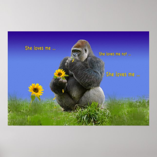 Gorilla in Love Print or Poster (Front)