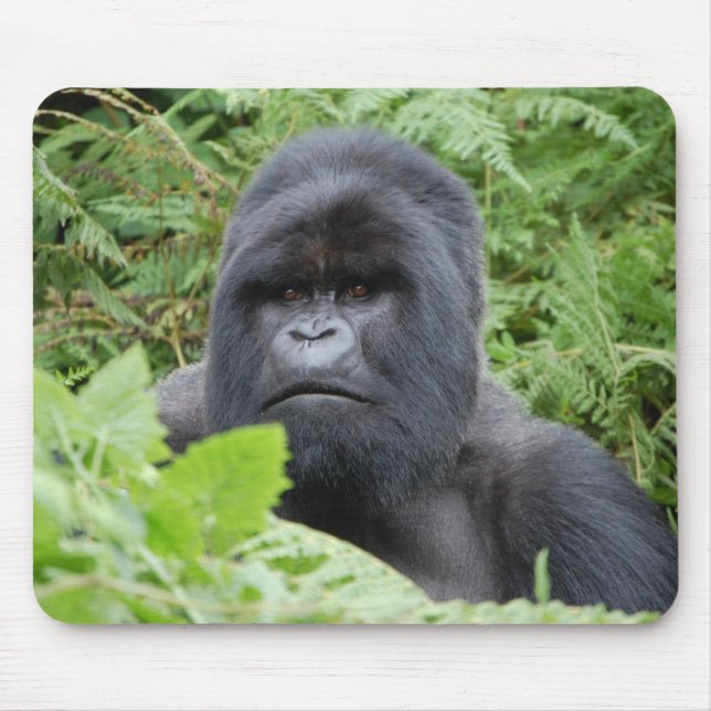 Gorilla in Rwanda Mouse Pad (Front)