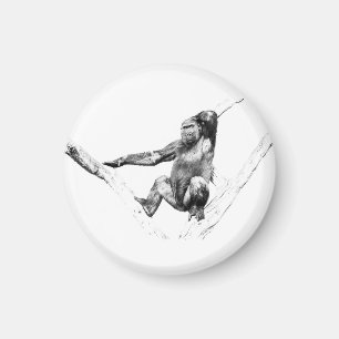 Gorilla in Shadows Magnet