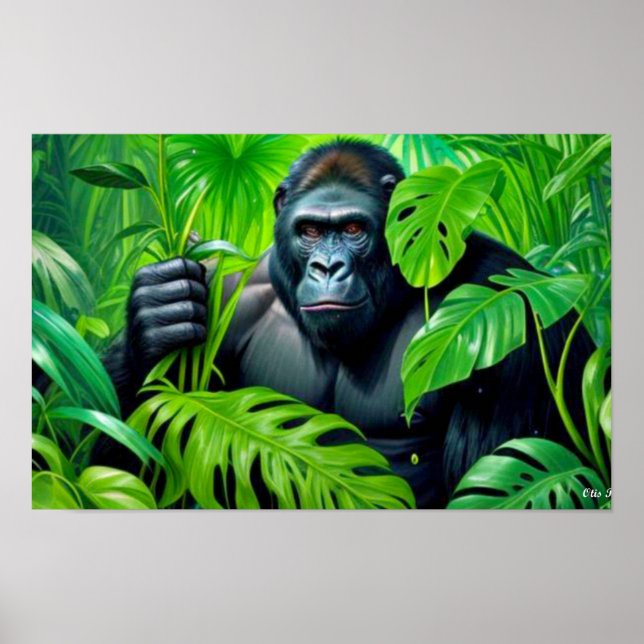 GORILLA IN THE RAINFOREST 6 POSTER (Front)