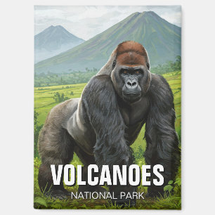 Gorilla in Volcanoes National Park Rwanda Travel Magnet