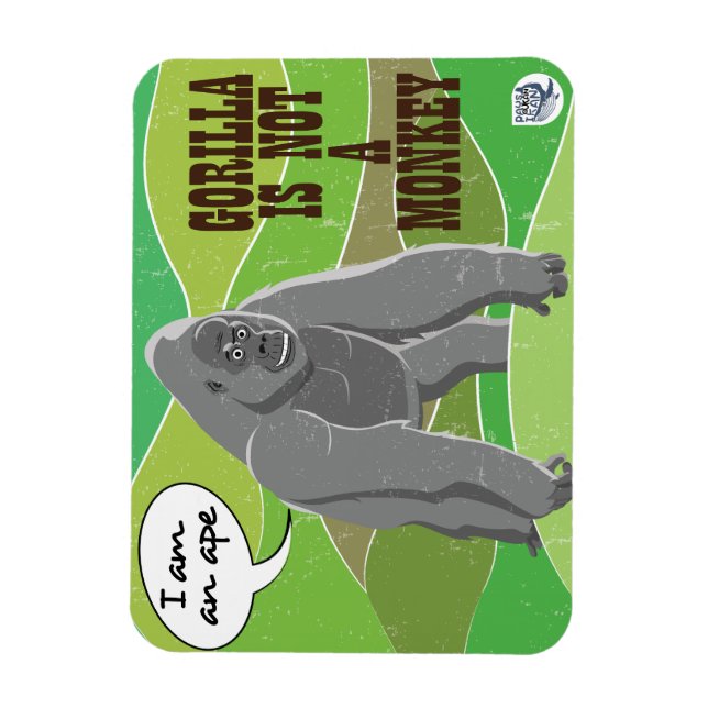 Gorilla is not a monkey magnet (Vertical)