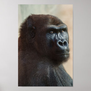 Gorilla Lope Close-up  Poster
