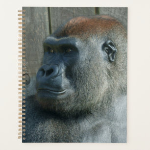 Gorilla Lope & Shufai Planner