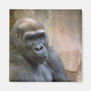 GORILLA, magnet