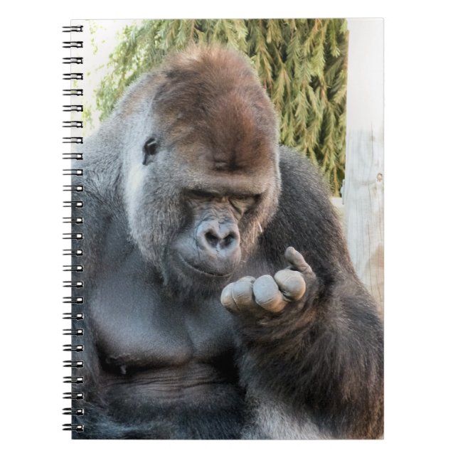 GORILLA NOTEBOOK (Front)