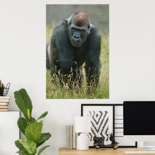 Gorilla on the move through the tall grass poster