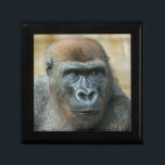 Gorilla Ornament Favor Box<br><div class="desc">This is a close-up of gorilla Lope. He's from the Twycross Zoo and you might also know him from the SloggerVlogger YouTube channel.</div>