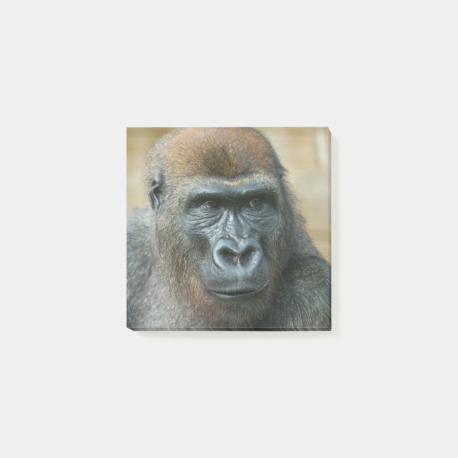 Gorilla Paper Post-it Notes (Front)