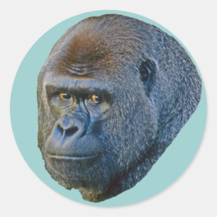 Gorilla Picture Classic Round Sticker