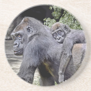Gorilla Piggyback #2 Coaster