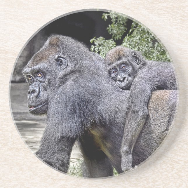 Gorilla Piggyback #2 Coaster (Front)