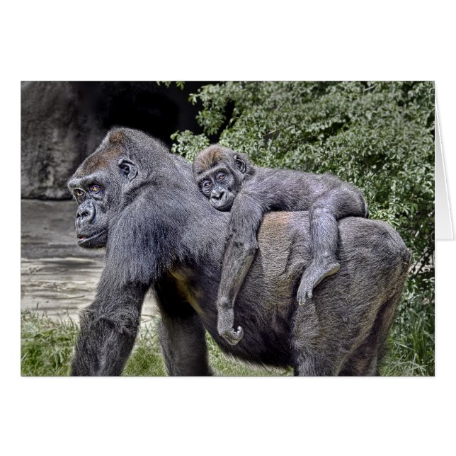 Gorilla "Piggyback" mum and baby #2 (Front Horizontal)