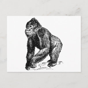 Gorilla Postcard