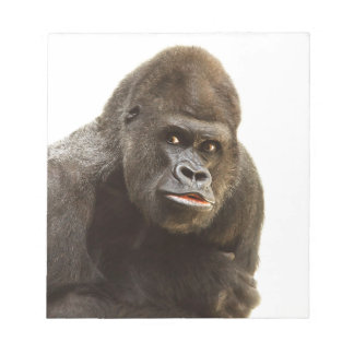 Gorilla Pout Notepad