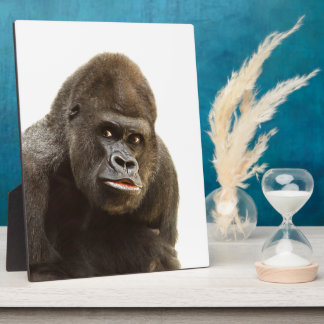 Gorilla Pout Plaque