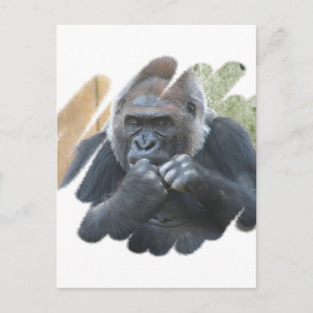 Gorilla Primate Postcard (Front)