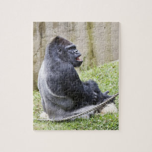 Gorilla puzzle