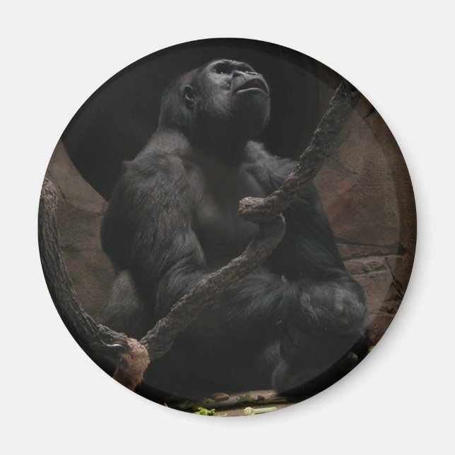 Gorilla /Round Magnet (Front)