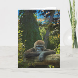 GORILLA  “SAVE OUR SPECIES” CARD