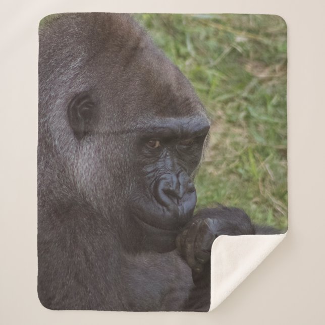Gorilla Sherpa Blanket (Front)
