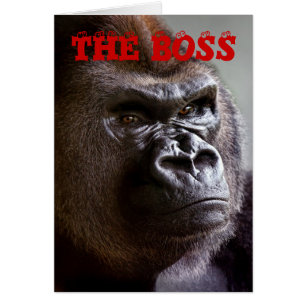 Gorilla Silverback The Boss Bosses Day Card