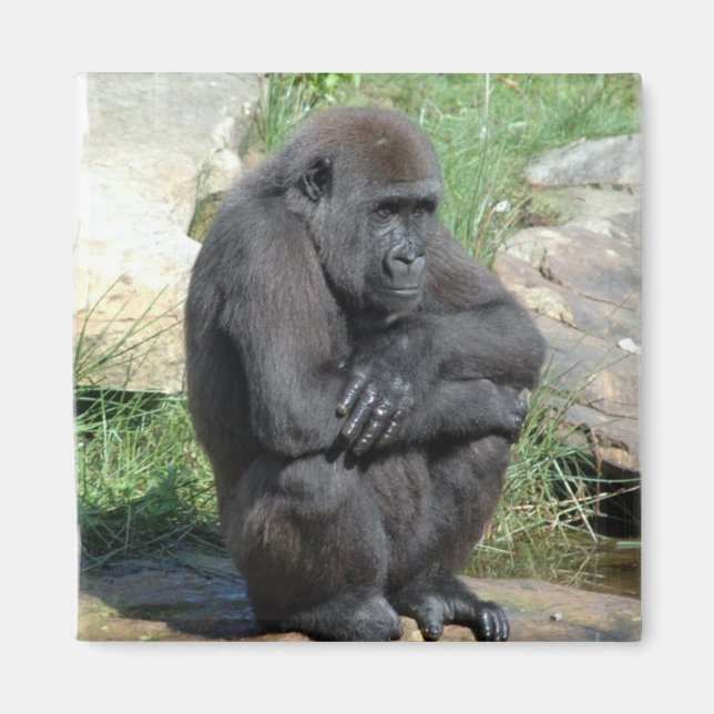 Gorilla Sitting Magnet (Front)
