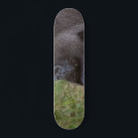 Gorilla Skateboard<br><div class="desc">Gorilla</div>