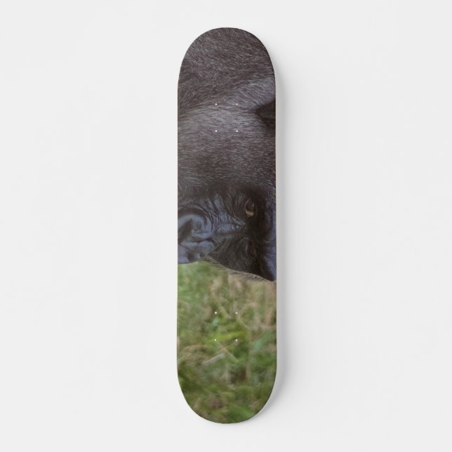 Gorilla Skateboard (Front)