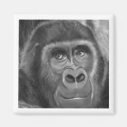 Gorilla sucking fingers Magnet2 FINGER SUCKING GOR