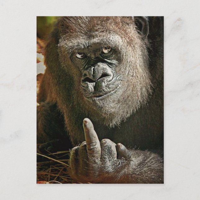 Gorilla Tall Man Postcard (Front)