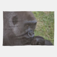 Gorilla