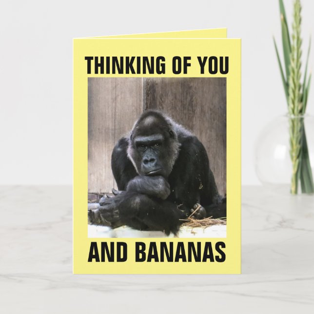 GORILLA THINKING OF YOU GREETING CARDS (Front)
