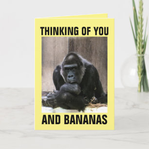 GORILLA THINKING OF YOU GREETING CARDS