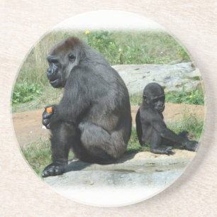 Gorilla Time Out  Coaster