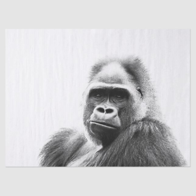 Gorilla Tissue Paper (Front)