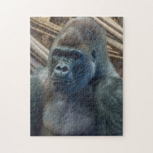 Gorilla up close photo puzzle
