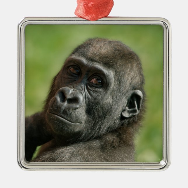 Gorilla Youngster Metal Ornament (Front)