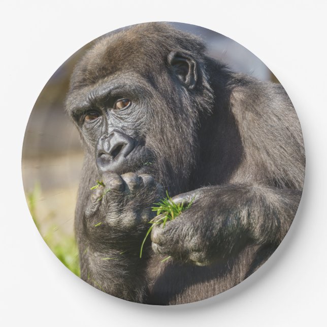 Gorilla Youngster Napkin Paper Plate (Front)