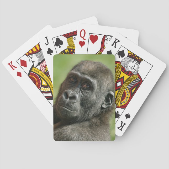 Gorilla Youngster Playing Cards (Back)