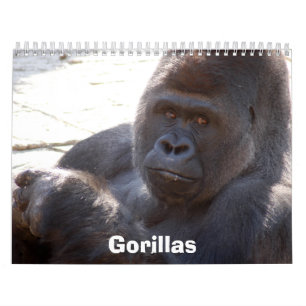 Gorillas Calendar, Gorillas Calendar