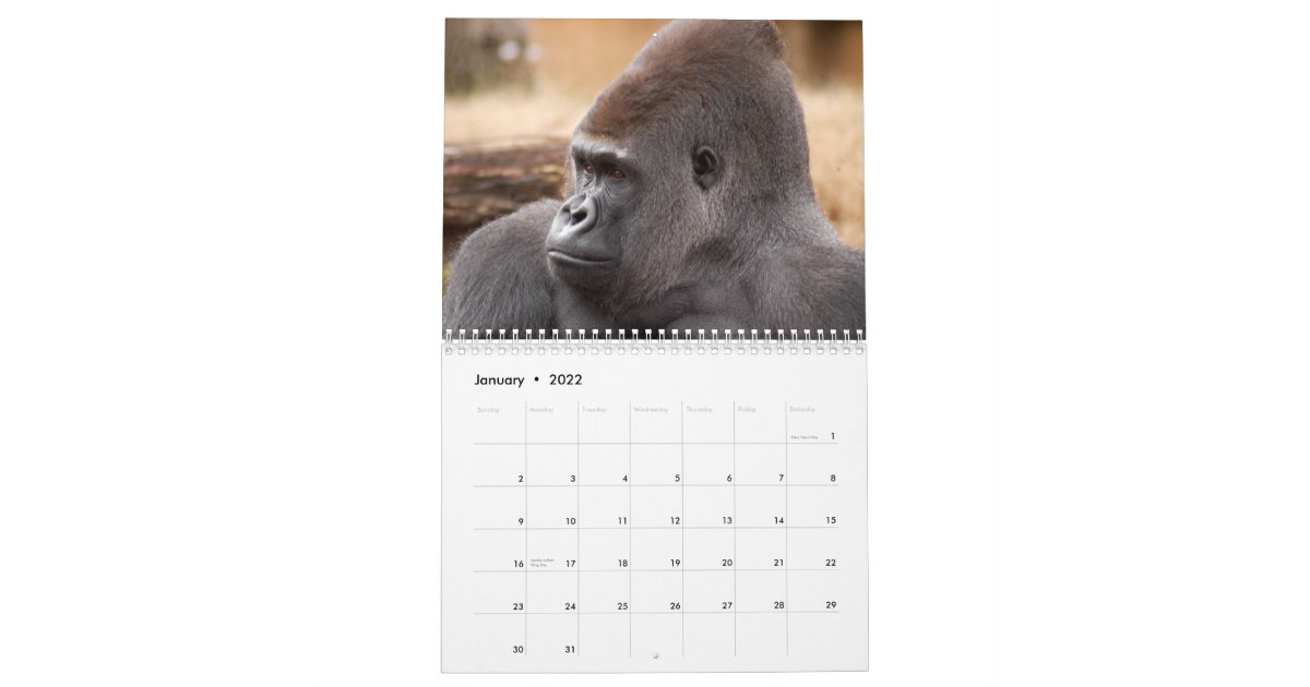 Gorillas Calendar, Gorillas Calendar