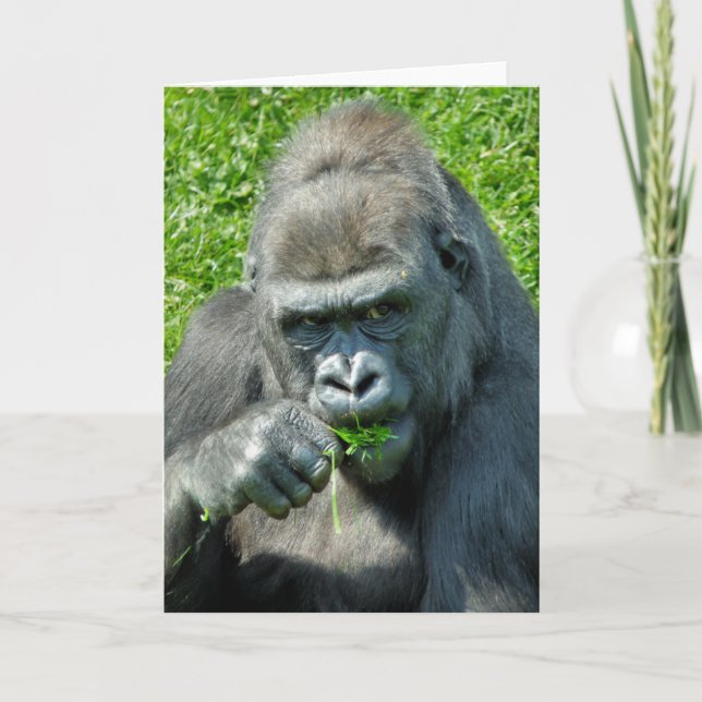 GORILLAS CARD (Front)