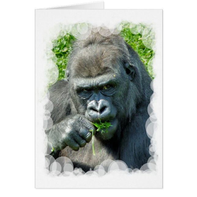 GORILLAS card (Front)
