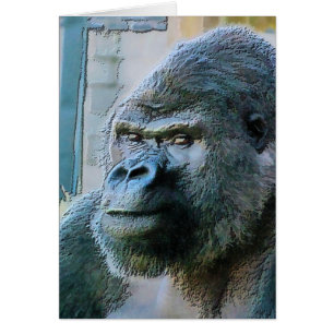 GORILLAS card