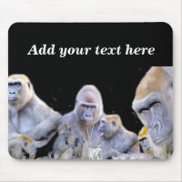 Gorillas & Chimpanzees_